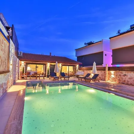 Kalkan Lisburn فيلة