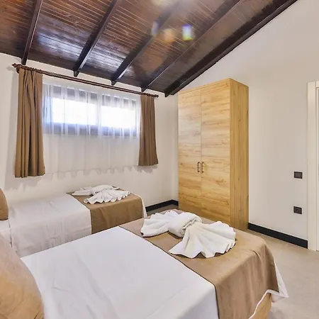 Kalkan Lisburn فيلة